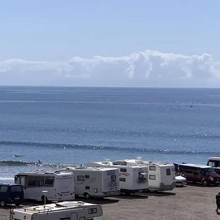 Surfers Nest *